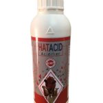 HAT ACID ( هات اسيد)